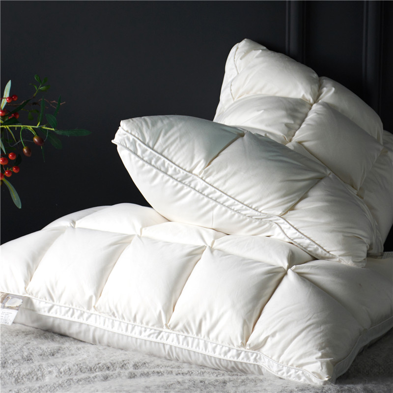 Oreiller en duvet d'oie nature - Home Textiles Premium avis et prix