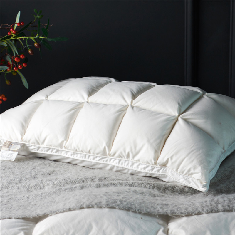 Oreiller en duvet d'oie nature - Home Textiles Premium avis et prix